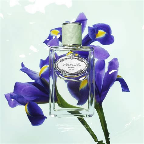 prada iris primor|iris prada perfume 2007.